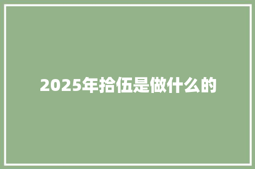 2025年拾伍是做什么的