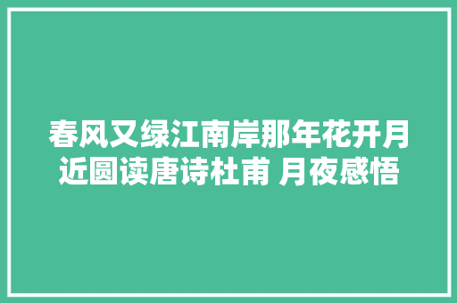 春风又绿江南岸那年花开月近圆读唐诗杜甫 月夜感悟