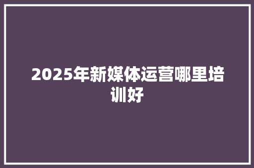 2025年新媒体运营哪里培训好