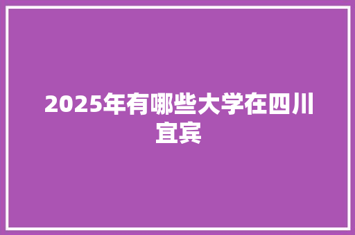 2025年有哪些大学在四川宜宾