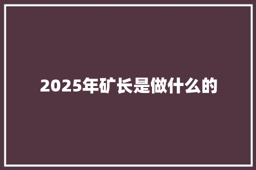 2025年矿长是做什么的