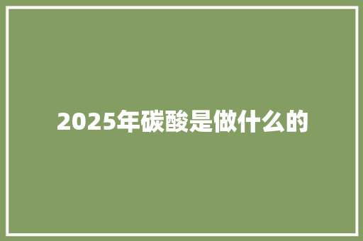 2025年碳酸是做什么的