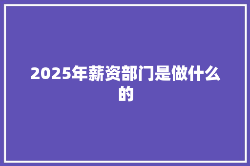 2025年薪资部门是做什么的