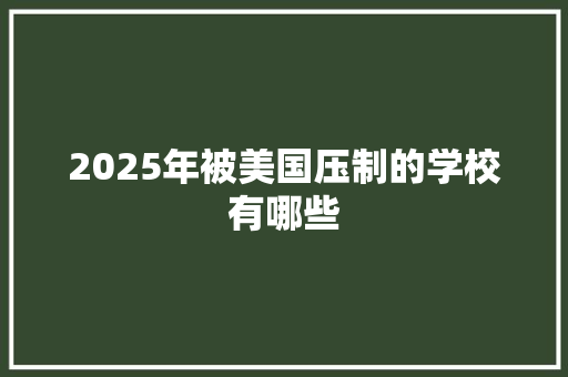 2025年被美国压制的学校有哪些