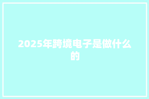 2025年跨境电子是做什么的