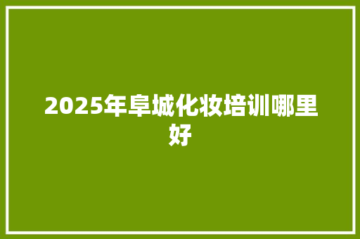 2025年阜城化妆培训哪里好