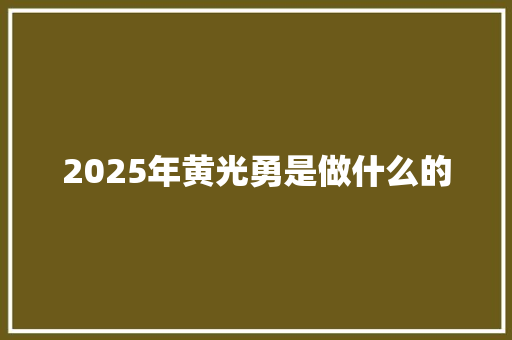 2025年黄光勇是做什么的