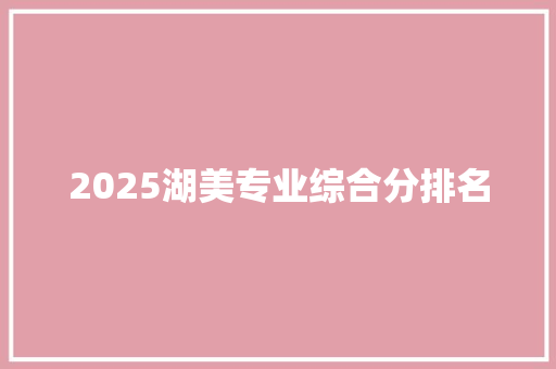 2025湖美专业综合分排名