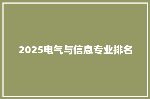 2025电气与信息专业排名
