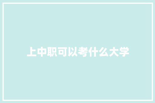 上中职可以考什么大学