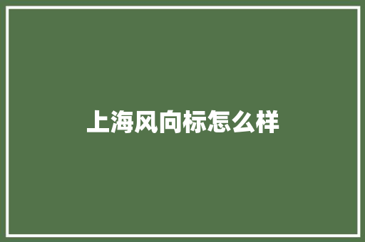 上海风向标怎么样