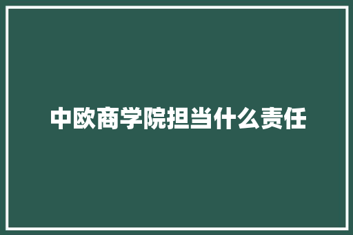 中欧商学院担当什么责任