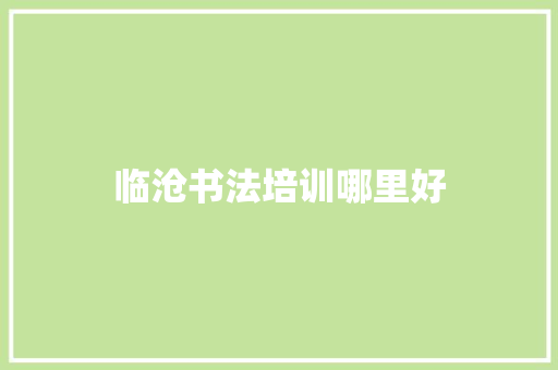 临沧书法培训哪里好