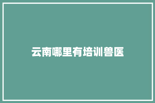 云南哪里有培训兽医
