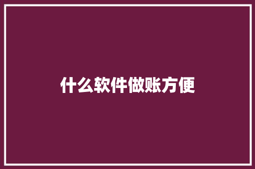 什么软件做账方便