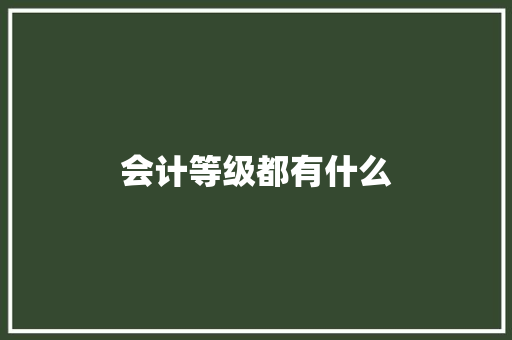 会计等级都有什么