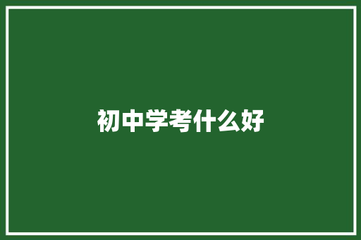 初中学考什么好