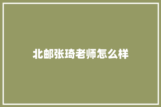北邮张琦老师怎么样