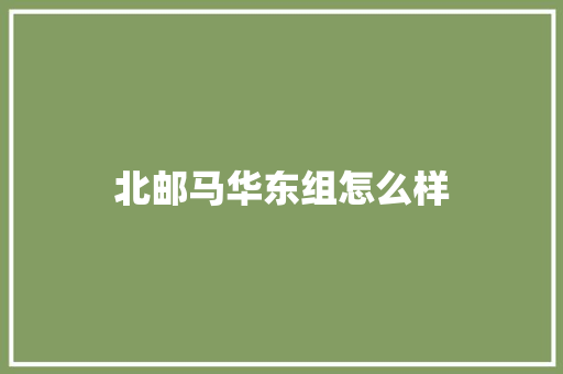 北邮马华东组怎么样