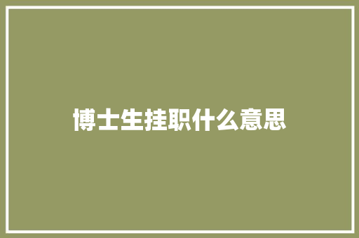 博士生挂职什么意思