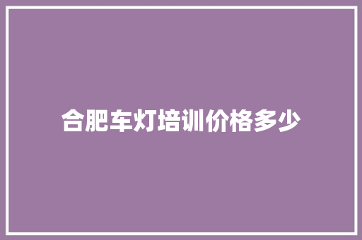 合肥车灯培训价格多少