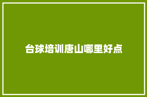 台球培训唐山哪里好点