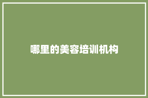 哪里的美容培训机构