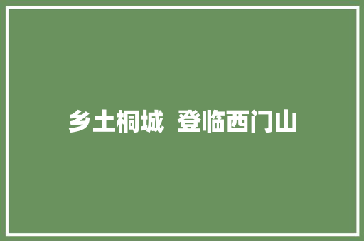 乡土桐城  登临西门山