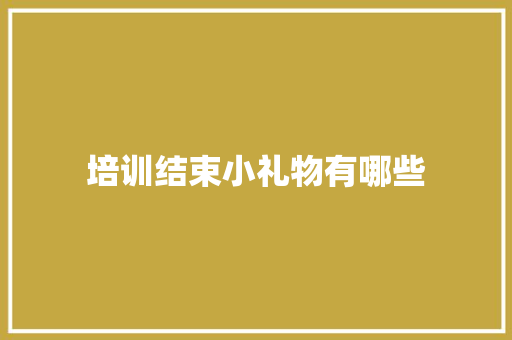 培训结束小礼物有哪些