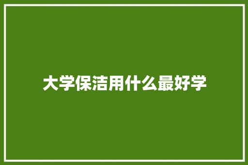 大学保洁用什么最好学