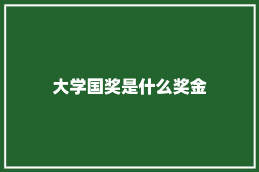 大学国奖是什么奖金