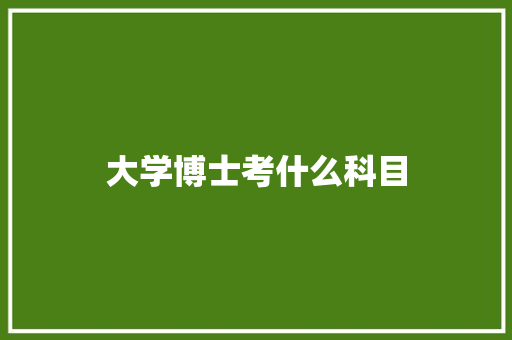 大学博士考什么科目