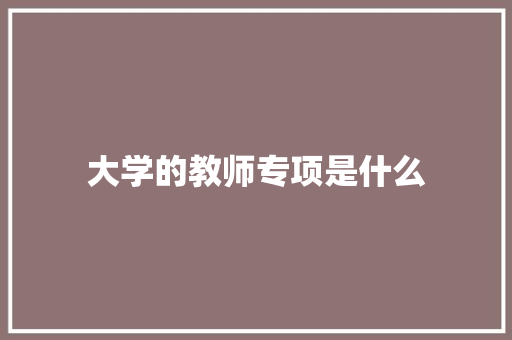 大学的教师专项是什么