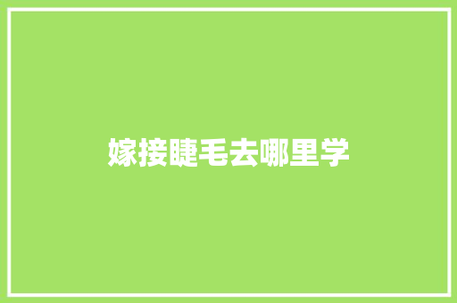 嫁接睫毛去哪里学