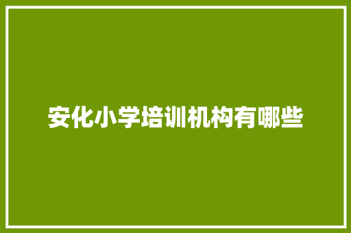 安化小学培训机构有哪些