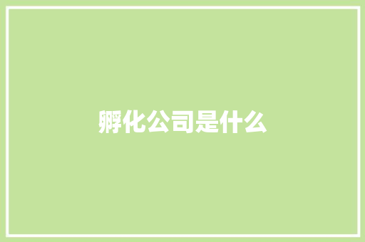 孵化公司是什么