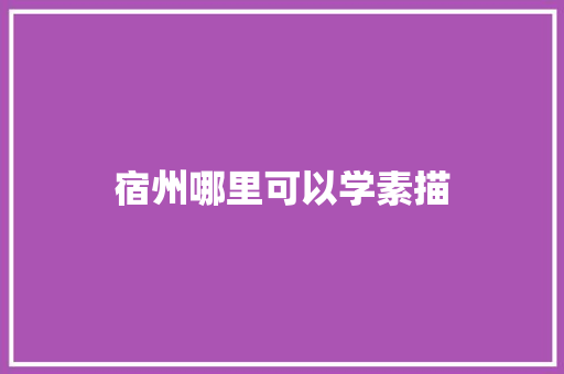 宿州哪里可以学素描