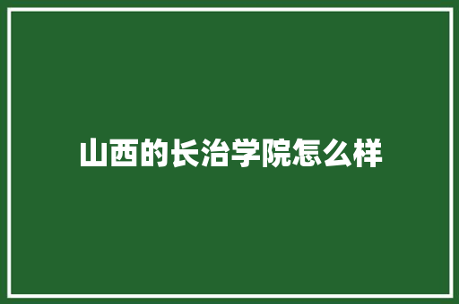 山西的长治学院怎么样