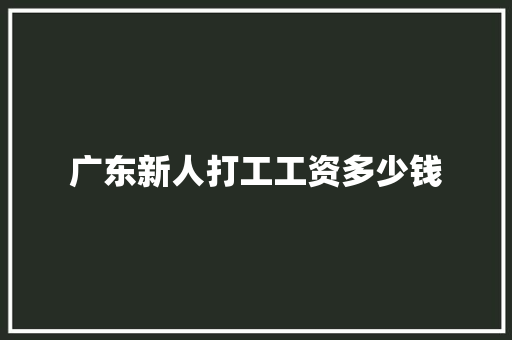 广东新人打工工资多少钱