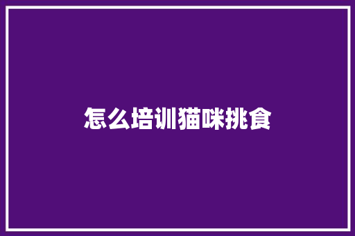 怎么培训猫咪挑食