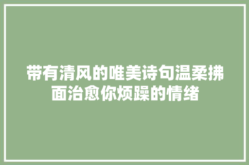带有清风的唯美诗句温柔拂面治愈你烦躁的情绪