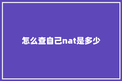 怎么查自己nat是多少