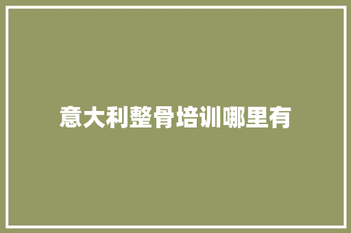 意大利整骨培训哪里有