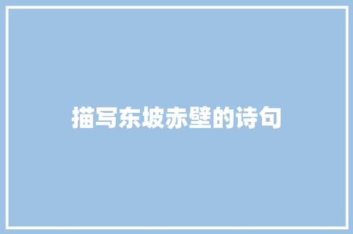 描写东坡赤壁的诗句