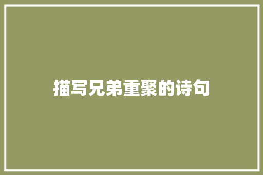 描写兄弟重聚的诗句