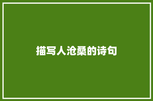 描写人沧桑的诗句