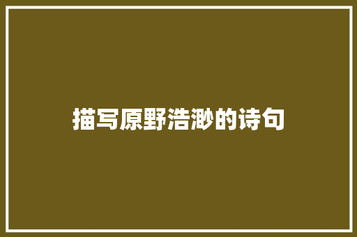 描写原野浩渺的诗句