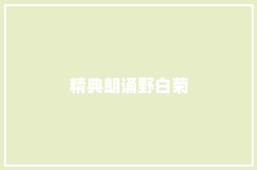 精典朗诵野白菊