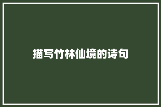 描写竹林仙境的诗句