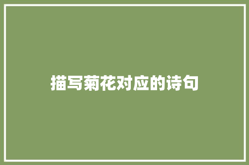 描写菊花对应的诗句